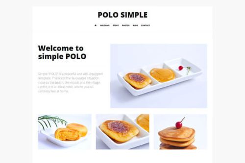 Polo Simple