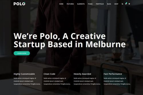 Polo Startup v7